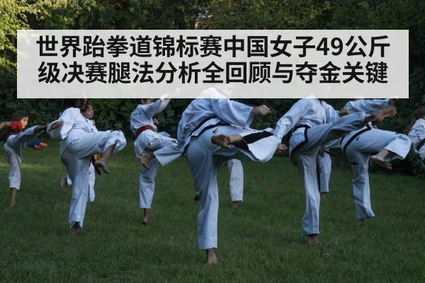 世界跆拳道锦标赛中国女子49公斤级决赛腿法分析全回顾与夺金关键